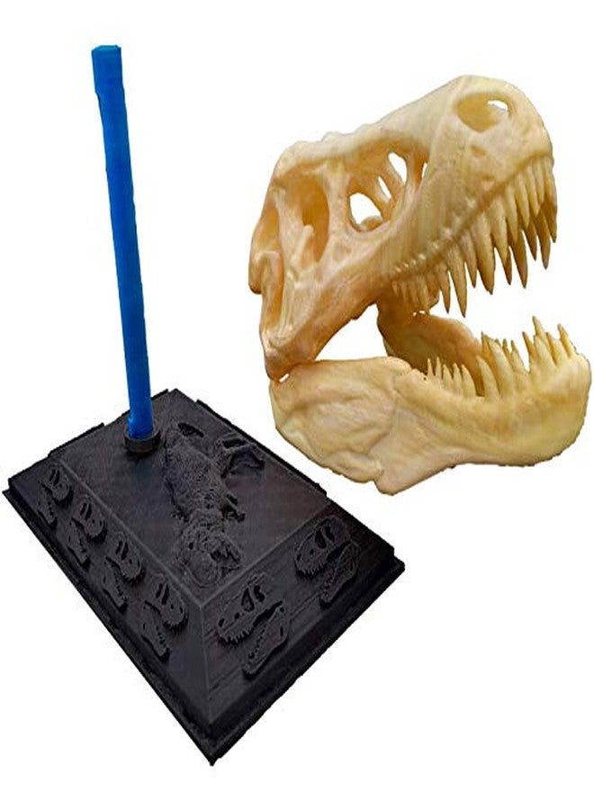 uneeke shape Dinosaur Toy for Kids, Jurassic T Rex Sculpture Theme for Birthday Decoration, Realistic Skull Showpiece Statue with Stand for Home Decor - Image 5